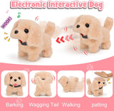 13 Piezas Juguete Interactivo G.C para Niñas, para Cuidar