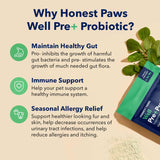 Vitaminas Probióticos para perros Polvo probiótico