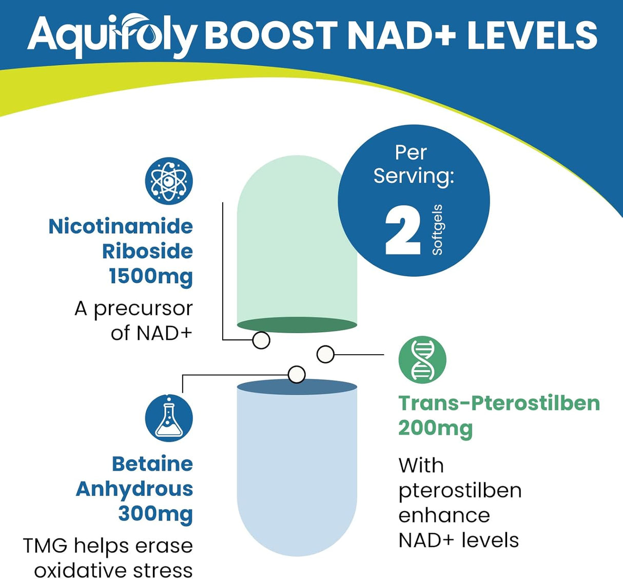 Liposomal Nicotinamide Riboside Supplement with TMG and Pterostilbene