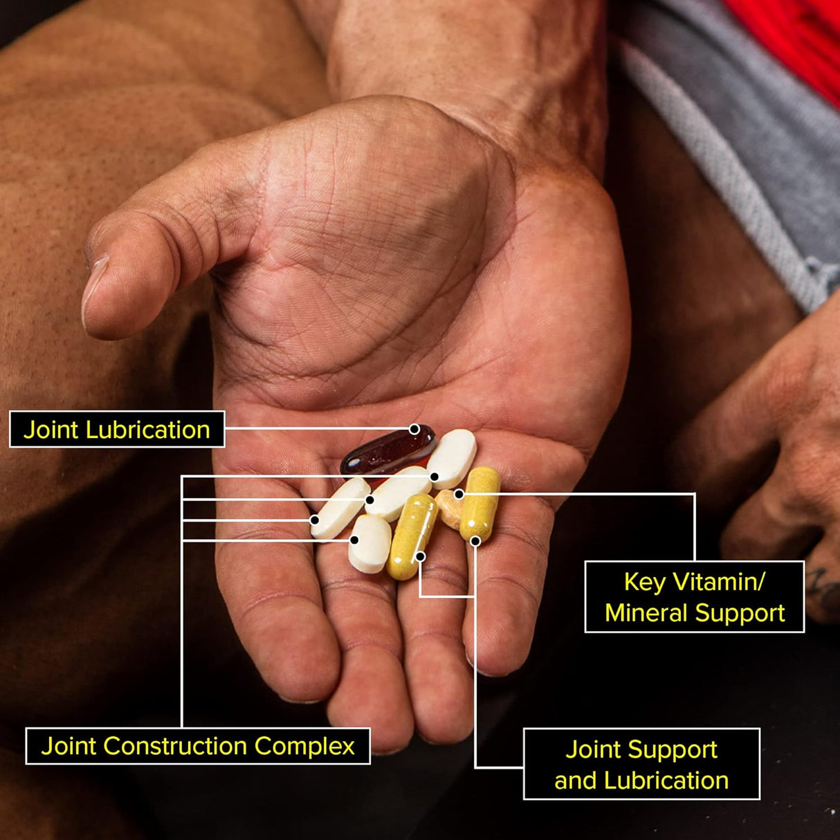 Suplementos Alimenticios de apoyo