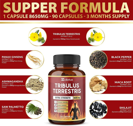Suplementos Alimenticios Aumenta la energía