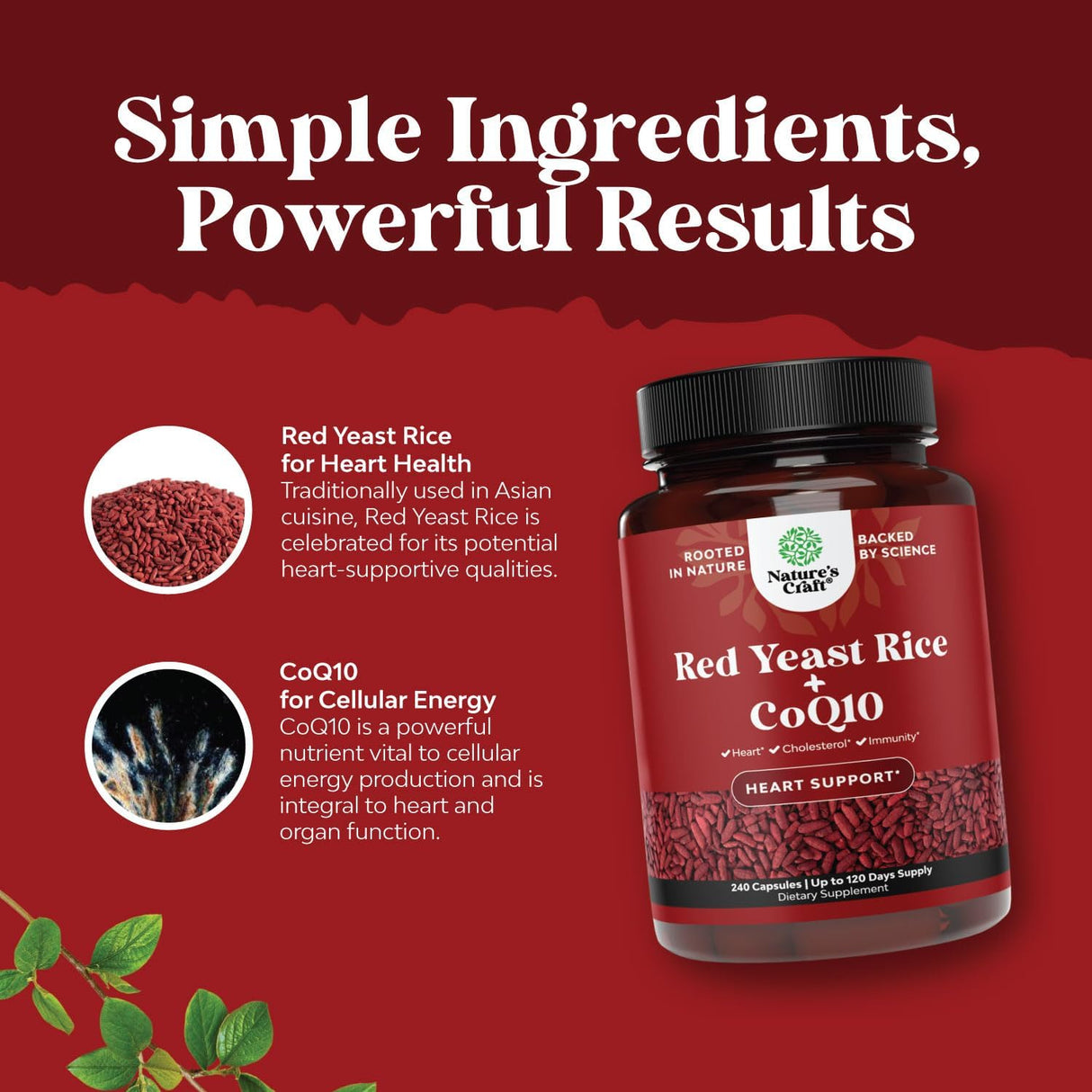 Suplemento de Arroz Rojo con CoQ10 - Fórmula Saludable 240 Caps
