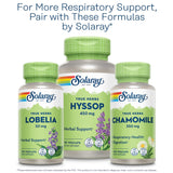 Solaray Hoja de gordolobo apoyar la función respiratoria