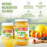 Gel de Musgo Irlandés Salvaje | Hecho en EE.UU. | Rico en Vitaminas | Mango Piña (16 oz)