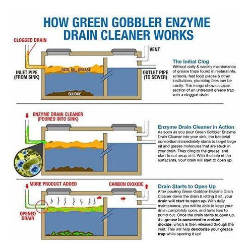 Enzimas De Gobbler Verde Para La Trampa De Grasa