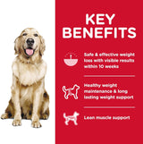 Alimento para Perros Comida para Perro de Adulto