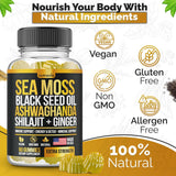 Gomitas de Sea Moss, Black Seed, Ashwagandha, Elderberry, 60