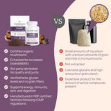 Polvo orgánico de champiñones Chaga para la salud digestiva e inmunológica