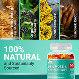 Gomitas de Musgo Marino BioVitalica - Inmunidad y Detox