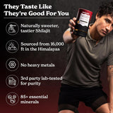 Shilajit Himalaya Miel Canela 30 Varitas Energía