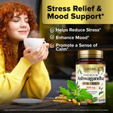 Suplemento de Ashwagandha 2100mg - Built by Nature - 60 cápsulas