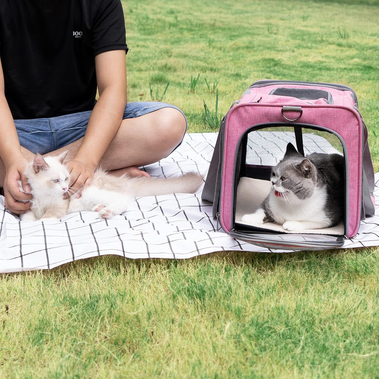 Transportín Suave para Gatos Grandes y Medianos, Modelo Viaje