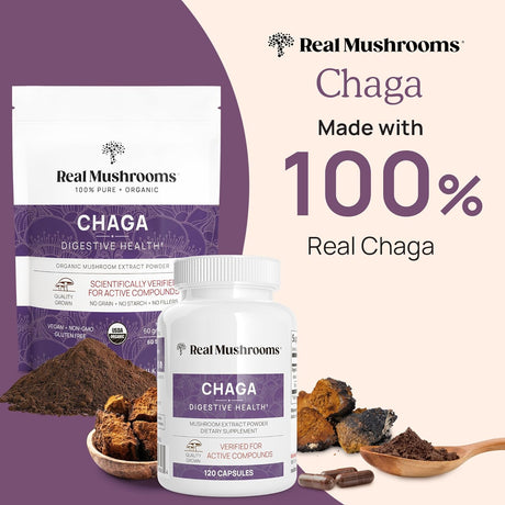 Polvo orgánico de champiñones Chaga para la salud digestiva e inmunológica