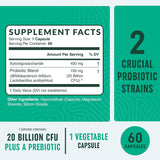 Cápsulas probióticas y prebióticas | Pre y Pro Biotics para la salud intestinal sinbiótica y alivio de la hinchazón para mujeres y hombres | Enzimas con probióticos para la salud digestiva | 20 mil millones de UFC | Vegetariano | 60 unidades