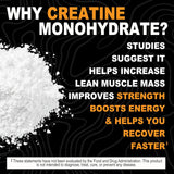 Es Solo! Creatina Monohidrato Pura USA 500g