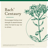 Bach  Remedio floral original  Gotero 20440