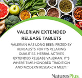 Herbal Actives Valeriana Extended Release Natures Plus 30 Tablet