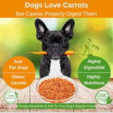 Vitaminas para perros Decoración de comida para perros