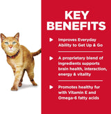 Alimento seco para gatos bolsa de 3 libras