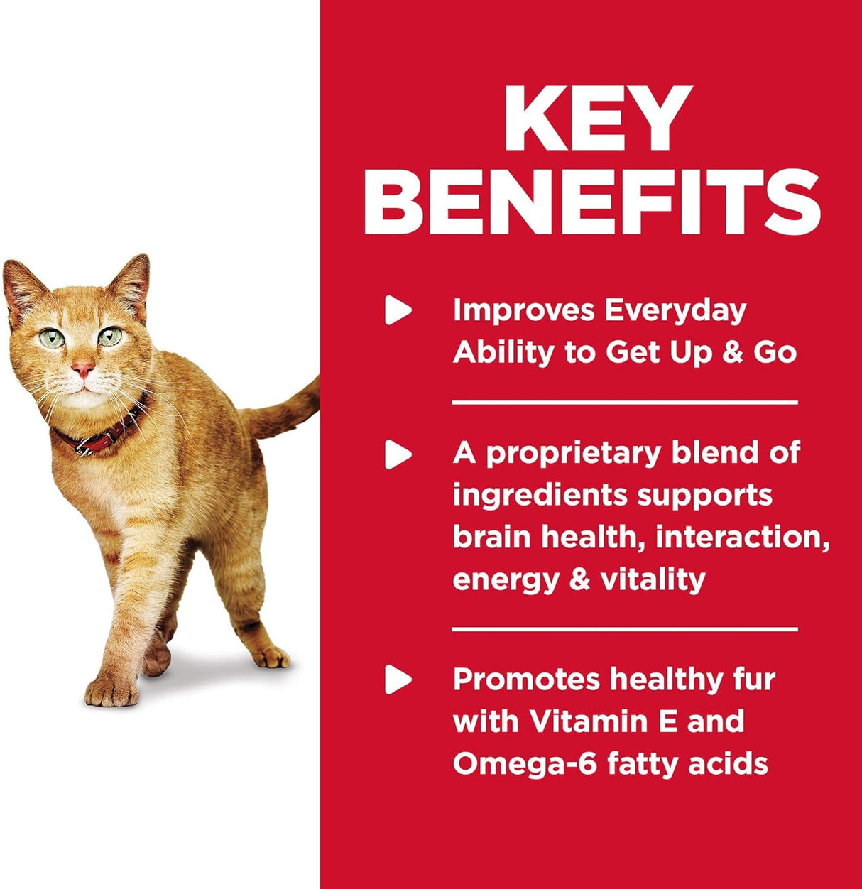 Alimento seco para gatos bolsa de 6 libras