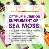 Sea Moss Líquido - Irish, Black Seed, Ashwagandha, Elderberry