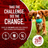 Purina ONE Comida Seca para Perros, Estómago Sensible, 31.1 lb.