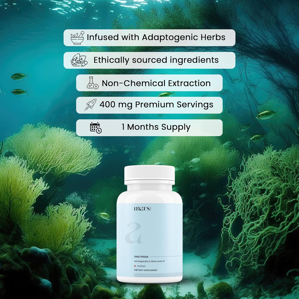Sea Moss Caps Mars Surge Natural 84 Minerales D3 60N