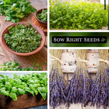 Colección de Semillas de Hierbas - Sow Right Seeds - 5 Paquetes