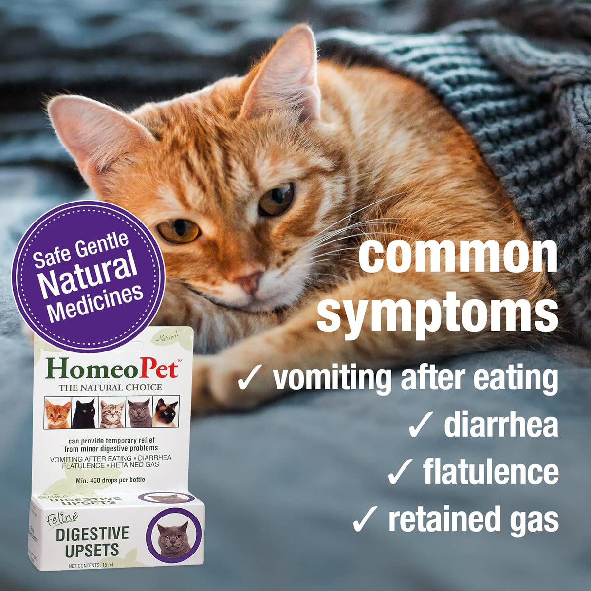 Trastornos digestivos felinos, digestivo natural para gatos