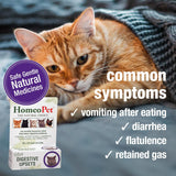 Trastornos digestivos felinos, digestivo natural para gatos