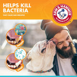 Spray dental de aliento fresco para perros