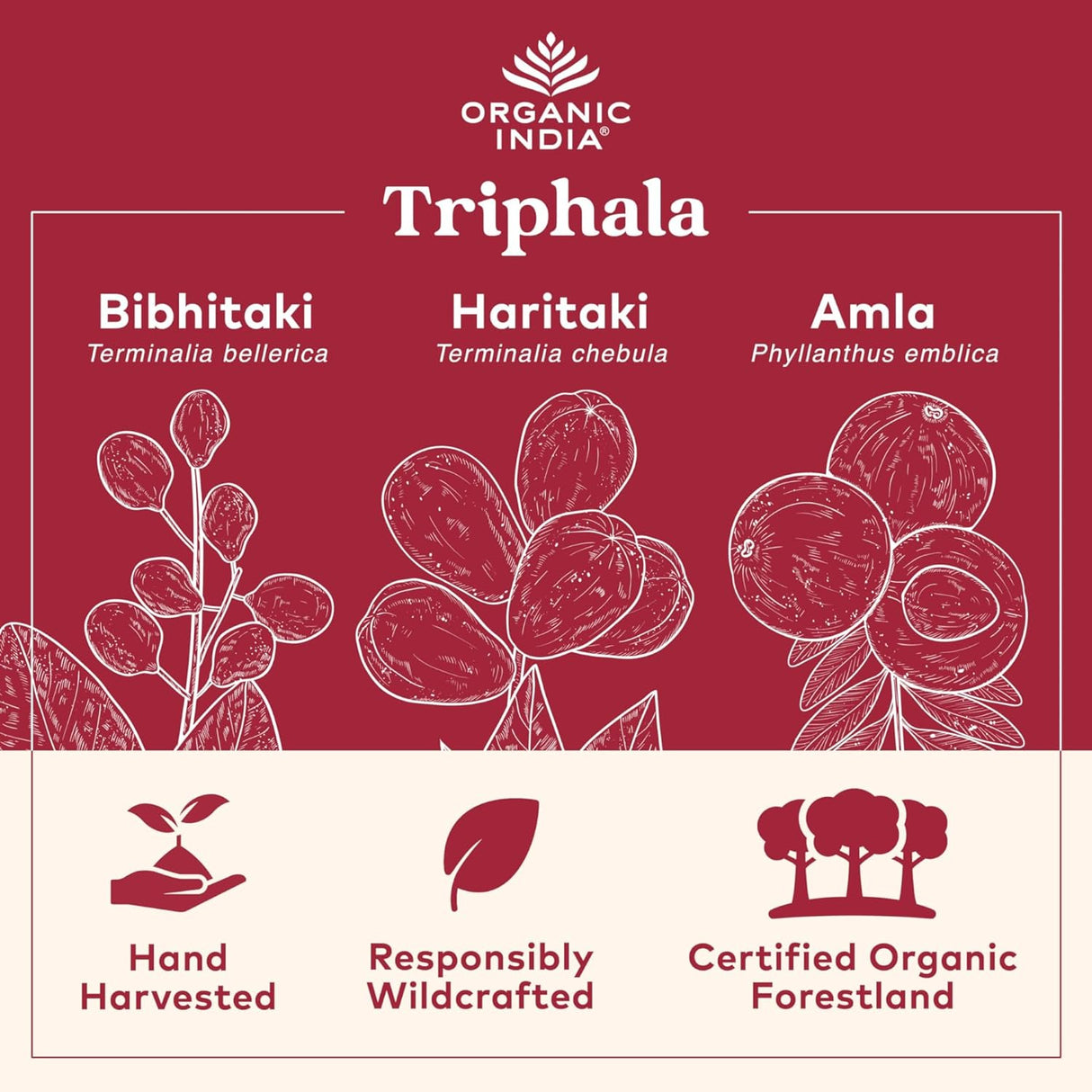 Cápsulas orgánicas de Triphala - Suplemento herbal vegano, adaptógeno