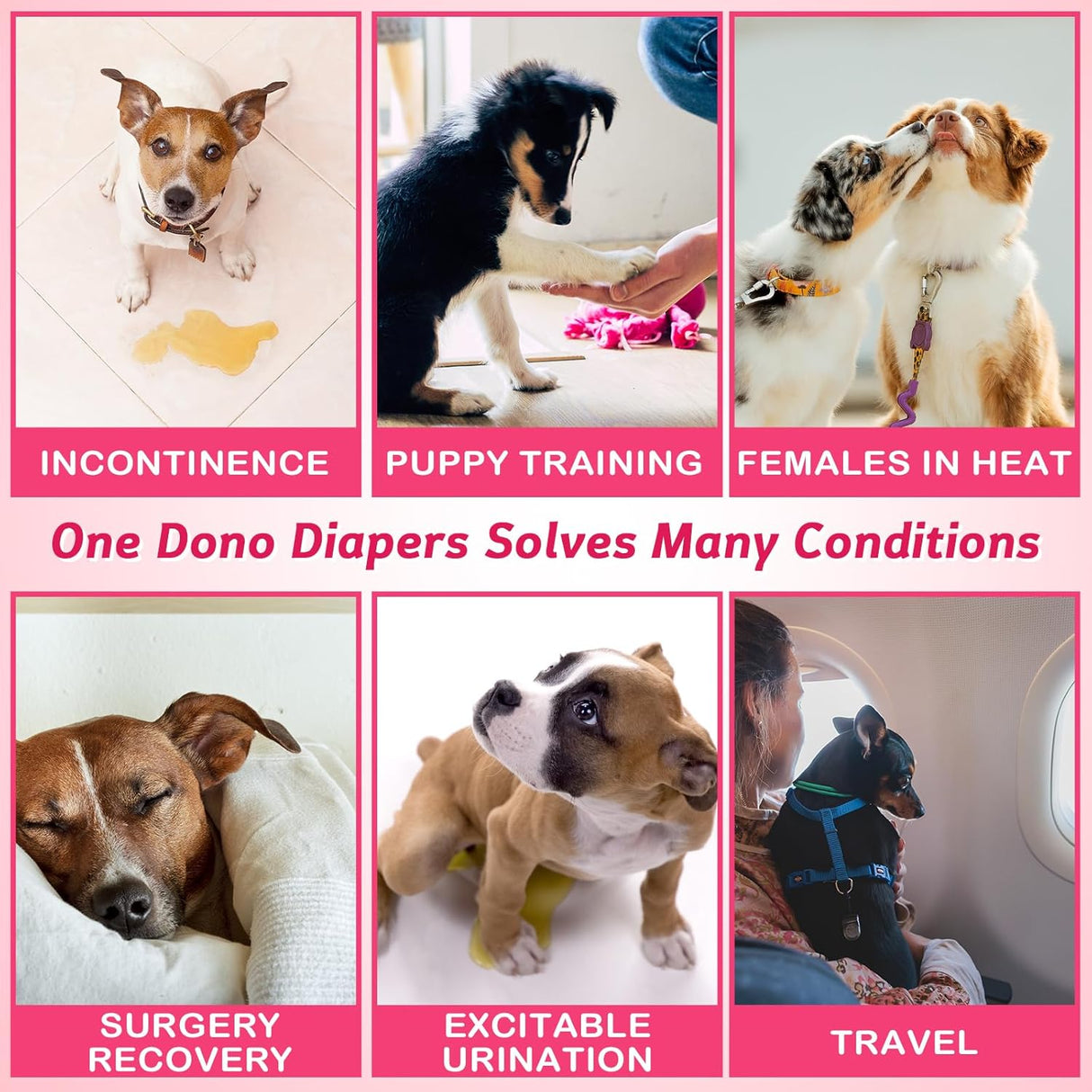 Dono Pañal desechable para perro hembra, incluyendo 20 pañales súper absorbentes