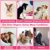 Dono Pañal desechable para perro hembra, incluyendo 20 pañales súper absorbentes