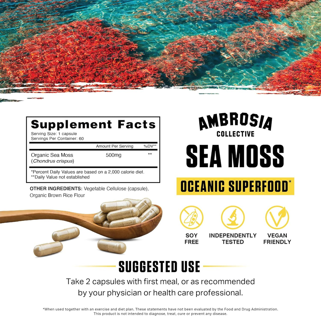 Ambrosia Cápsulas de Musgo de Irlanda 500mg Orgánico Veganas