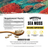 Ambrosia Cápsulas de Musgo de Irlanda 500mg Orgánico Veganas