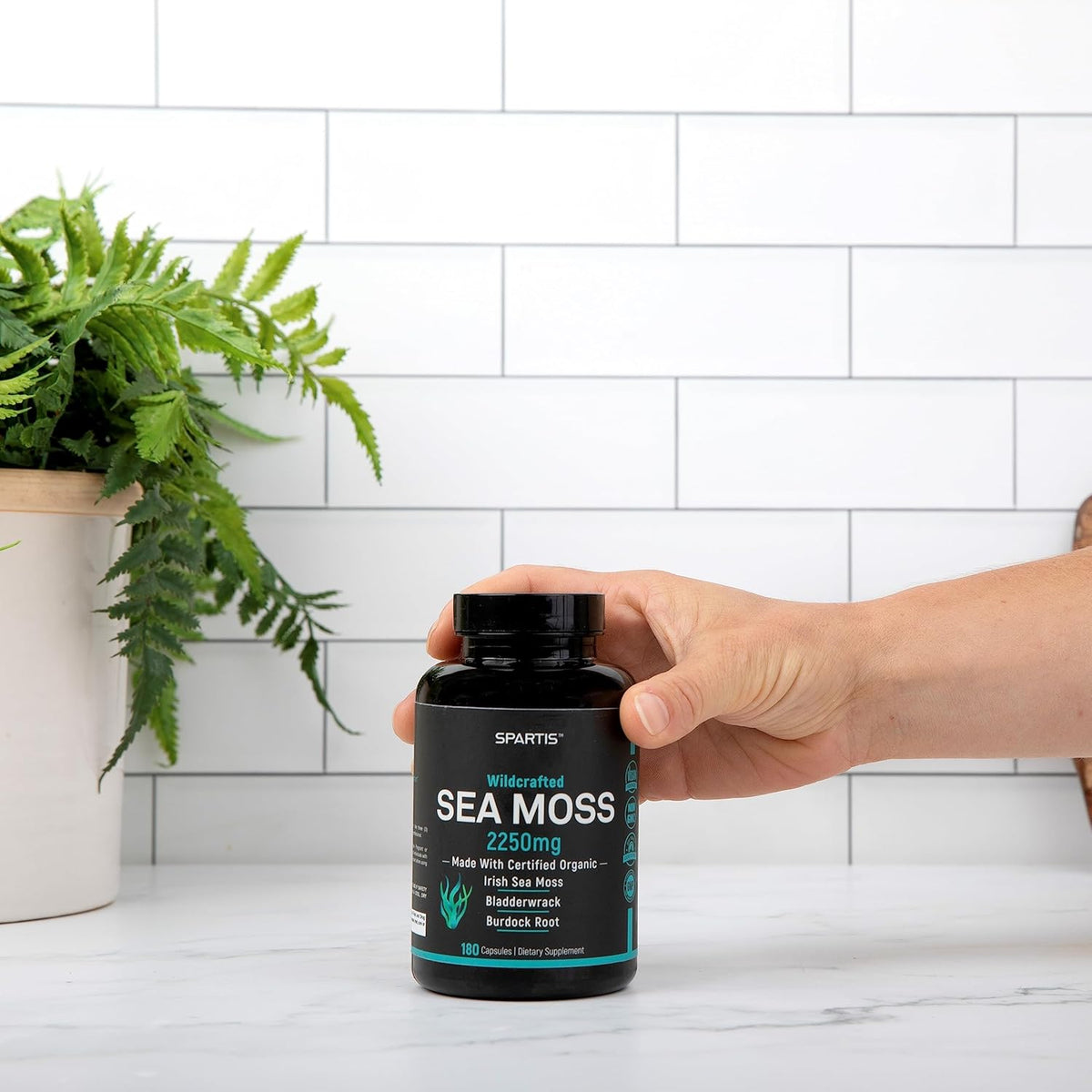 Cápsulas Orgánicas de Sea Moss 2250mg Irish Burdock 180