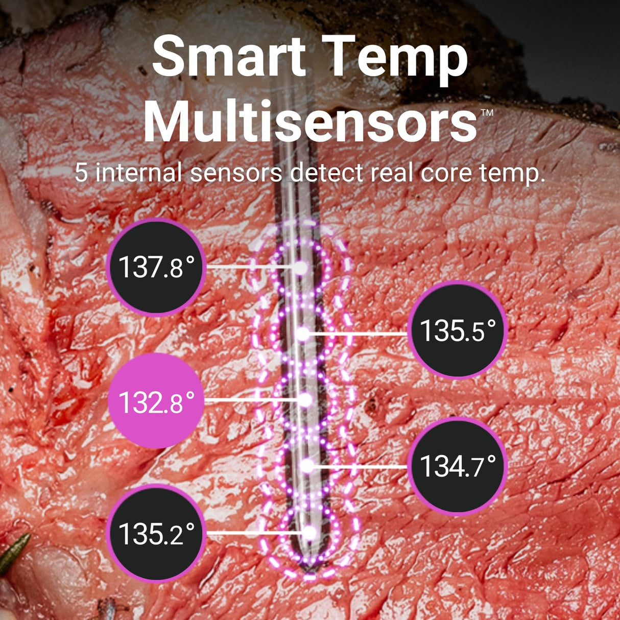 Termómetro de carne inalámbrico MEATER Pro | 1000°F, Bluetooth