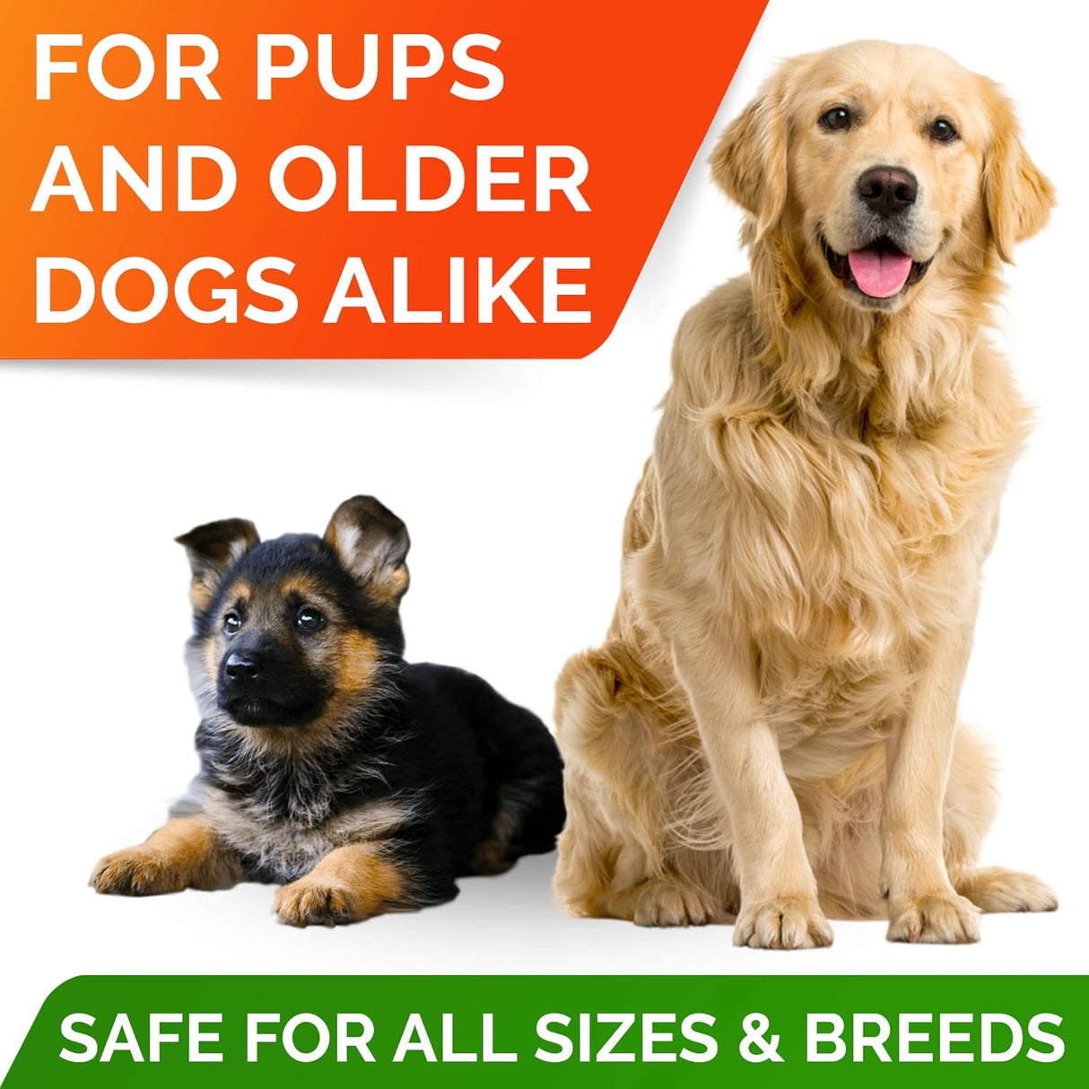 Vitaminas de aceite de pescado Omega 3 para perros