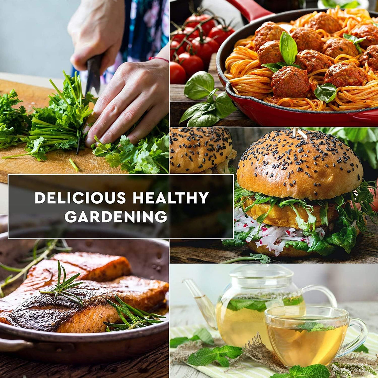 Paquete de Semillas de Hierbas Culinarias - Heirloom y No GMO