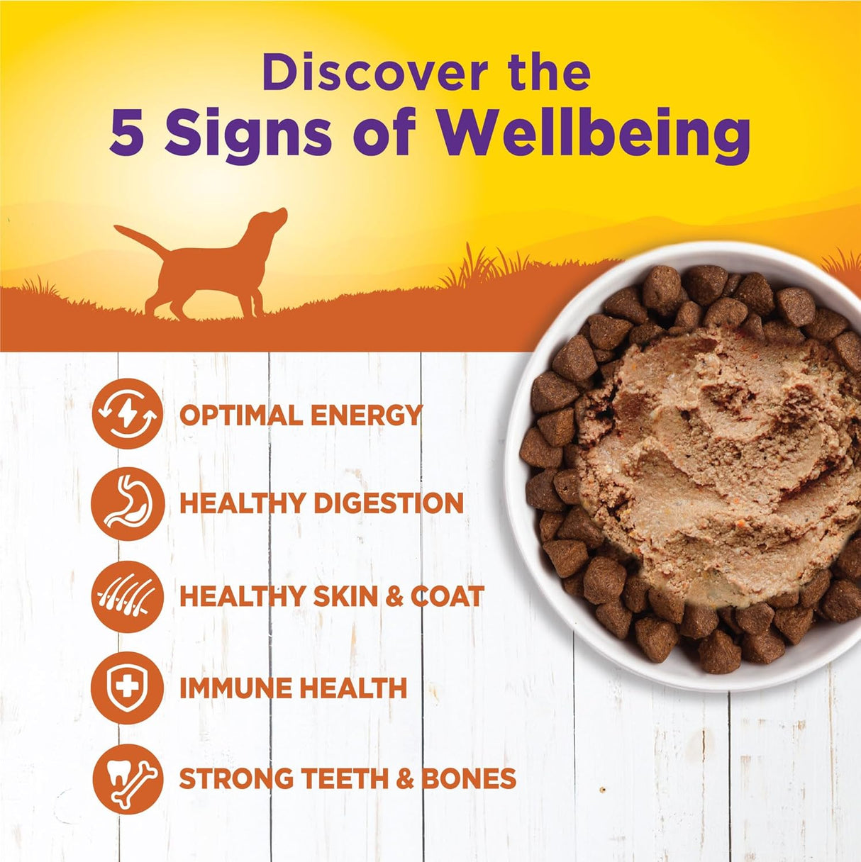 Alimento húmedo completo para perros natural y saludable