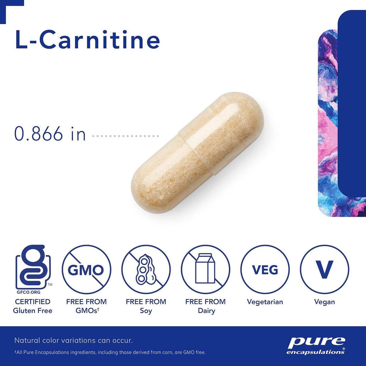 L-Carnitina Pura Encapsulations Suplemento Cardiovascular 60 cápsulas