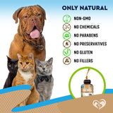 Suplementos natural para gatos con probióticos
