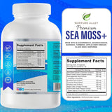 Complejo 8 en 1 de superalimentos: Sea Moss, Black Seed, Ashwagandha