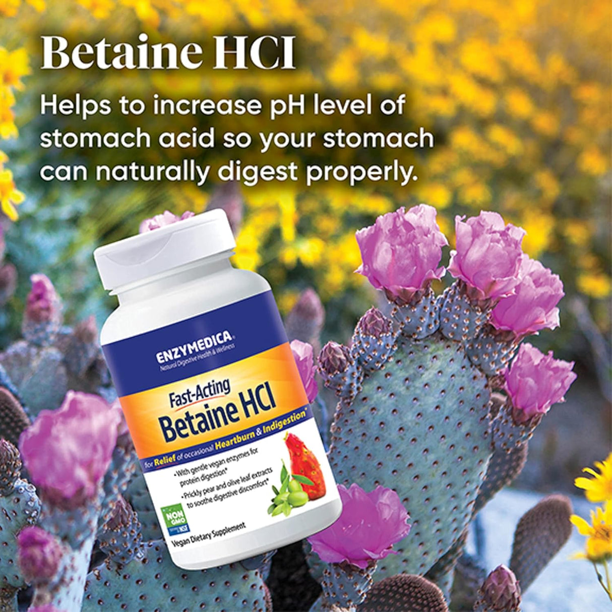Suplemento Enzymedica, Betaine HCl soporte estomacal 120 cap