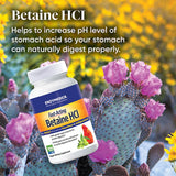 Suplemento Enzymedica, Betaine HCl soporte estomacal 120 cap