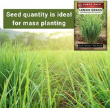 Semillas de Hierba Limón - Sow Right Seeds - 1600 Semillas