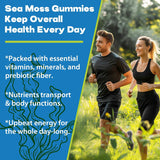 Gomitas de Sea Moss Irish 3100mg, 120 unidades