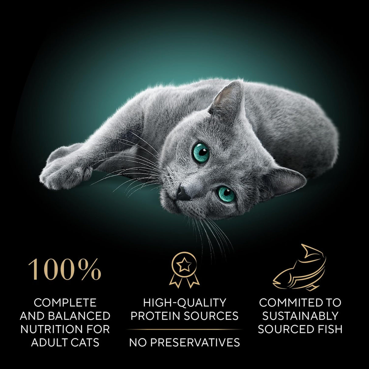 Sheba Porciones Perfectas Latas de Comida Húmeda para Gatos
