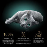 Sheba Porciones Perfectas Latas de Comida Húmeda para Gatos